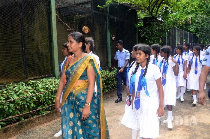 SLAF Sponsors an Educational Tour for Jaffna School Children