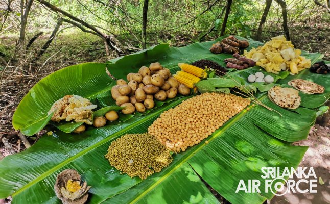 JUNGLE AND WATER SURVIVAL TAINING FOR AOR CREW MEMBERS