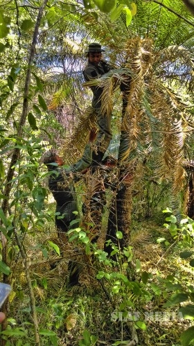 Aircrew Water and Jungle Survival Training