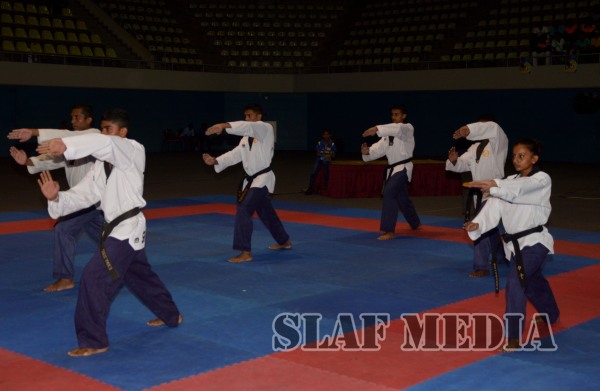 Air Force team excels at the First Korean Ambassadors & Kukkiwon Cup Taekwondo Championship 2015