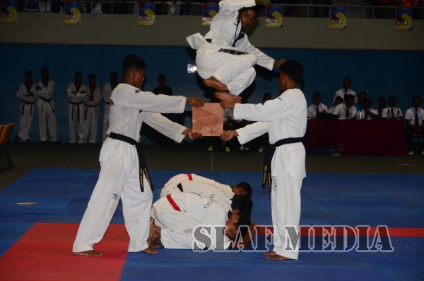 Air Force team excels at the First Korean Ambassadors & Kukkiwon Cup Taekwondo Championship 2015