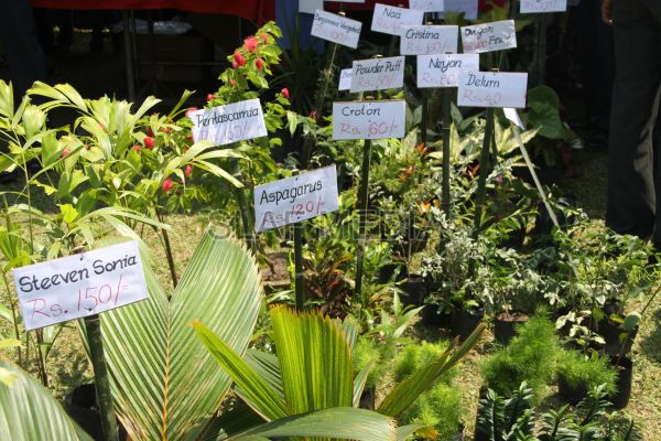 'Liya Saviya' Salpila Organised by the Sri SLAF Seva Vanitha Unit