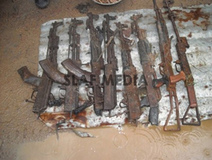 Kareimulliwaikkal Findings