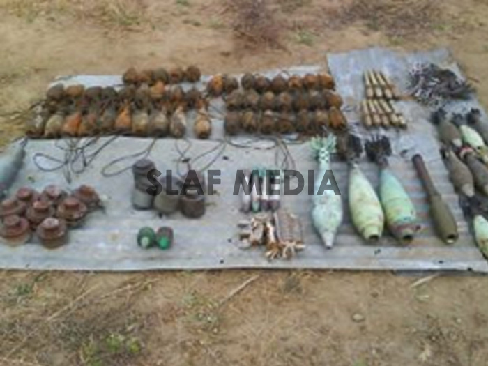 Kareimulliwaikkal Findings