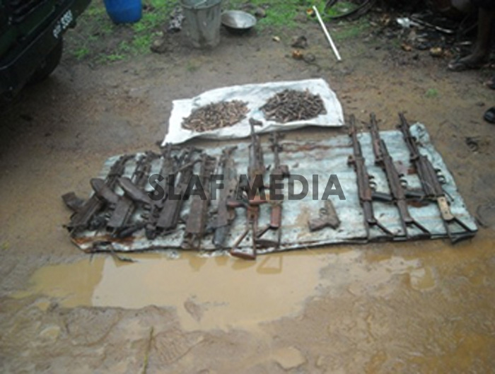 Kareimulliwaikkal Findings