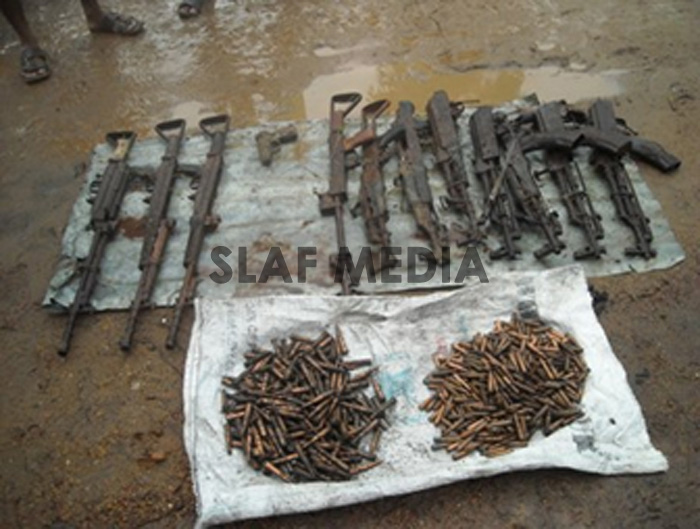 Kareimulliwaikkal Findings
