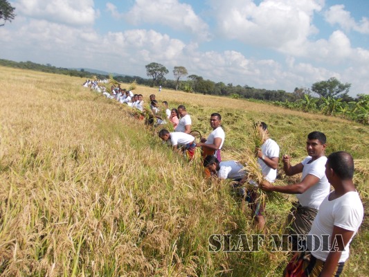 Sri Lanka Air Force Rugerites mark their first Victory