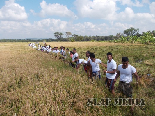 Sri Lanka Air Force Rugerites mark their first Victory