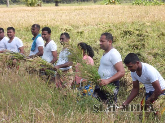 Sri Lanka Air Force Rugerites mark their first Victory