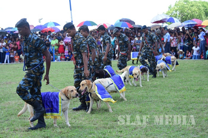 'SLAF Mini Tattoo 2017' continues second day today