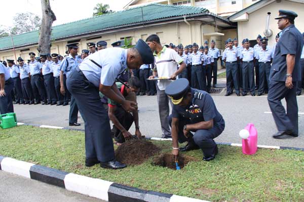 SLAF Plants 100000 Trees
