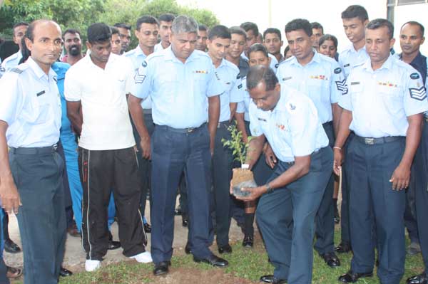 SLAF Plants 100000 Trees