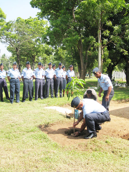 SLAF Plants 100000 Trees