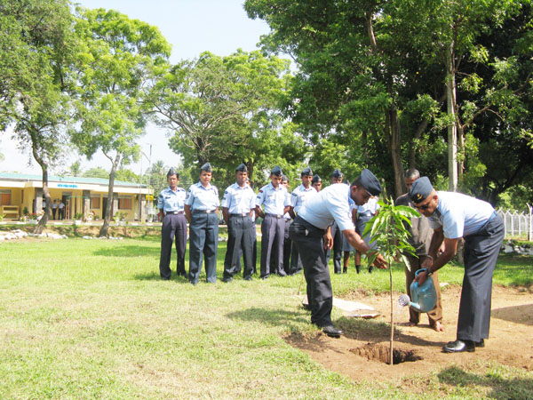 SLAF Plants 100000 Trees