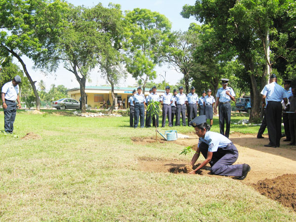 SLAF Plants 100000 Trees