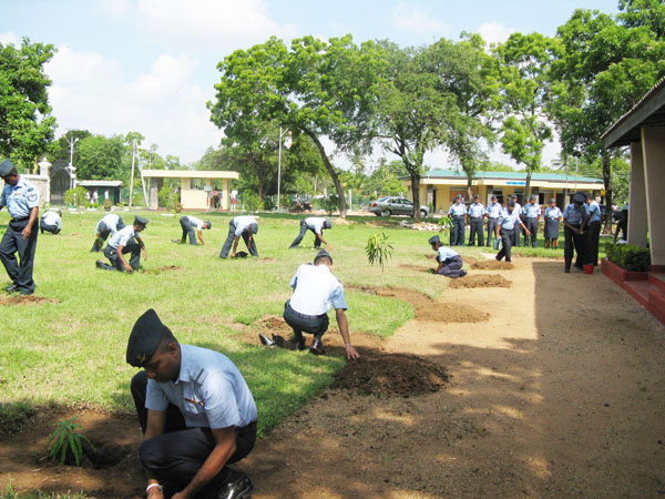 SLAF Plants 100000 Trees