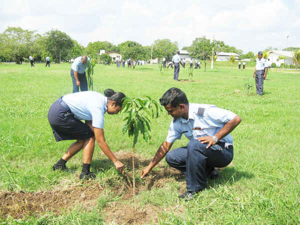 SLAF Plants 100000 Trees