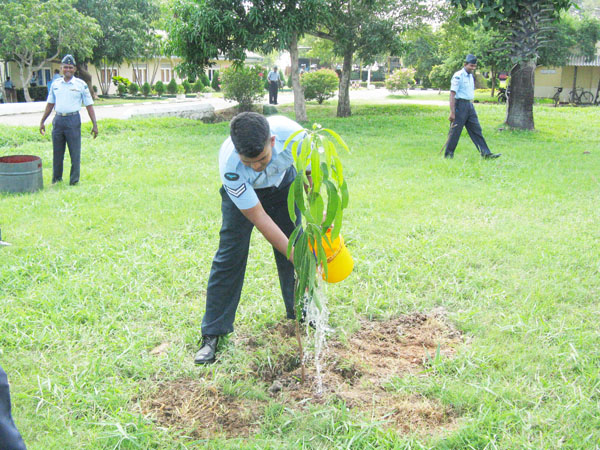 SLAF Plants 100000 Trees