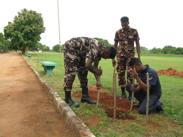 SLAF Plants 100000 Trees