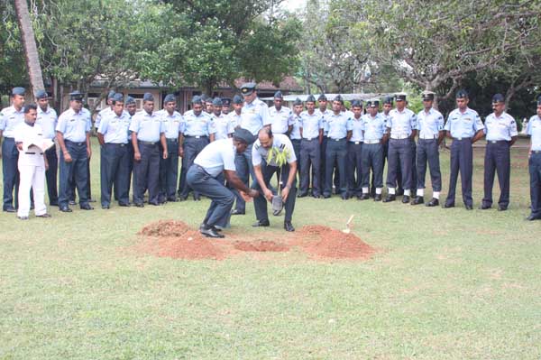 SLAF Plants 100000 Trees