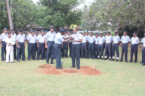 SLAF Plants 100000 Trees