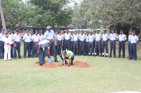 SLAF Plants 100000 Trees