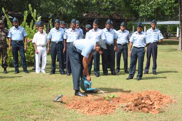SLAF Plants 100000 Trees