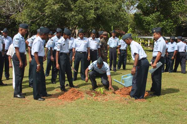 SLAF Plants 100000 Trees