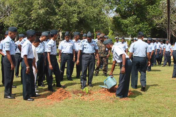 SLAF Plants 100000 Trees