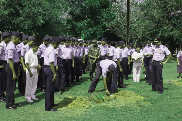 SLAF Plants 100000 Trees