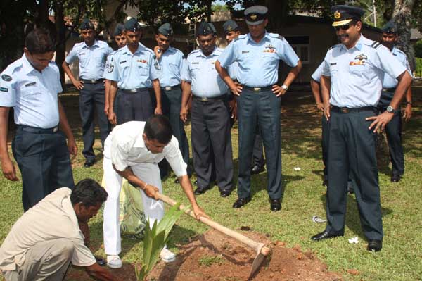 SLAF Plants 100000 Trees