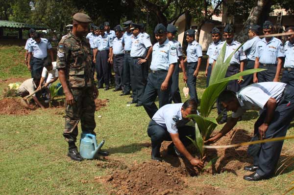 SLAF Plants 100000 Trees