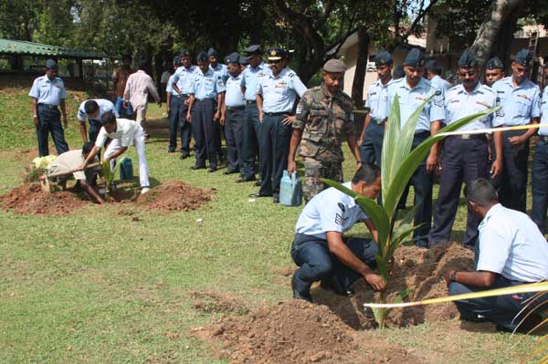 SLAF Plants 100000 Trees