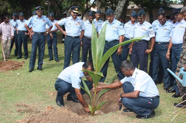 SLAF Plants 100000 Trees