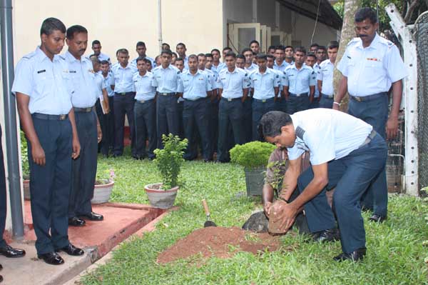 SLAF Plants 100000 Trees