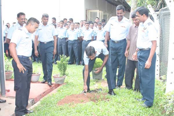 SLAF Plants 100000 Trees