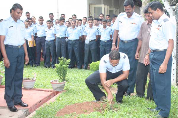 SLAF Plants 100000 Trees