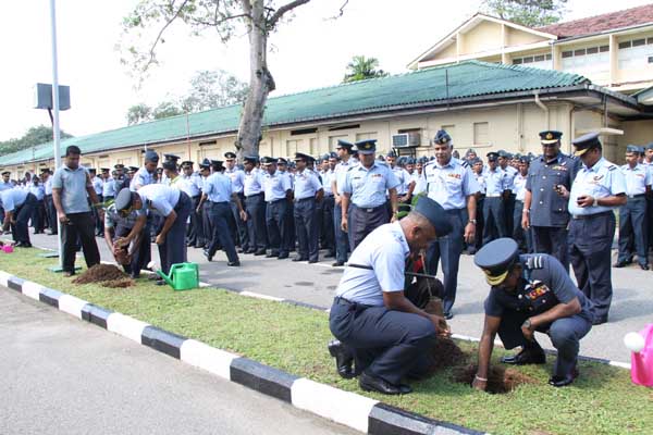 SLAF Plants 100000 Trees