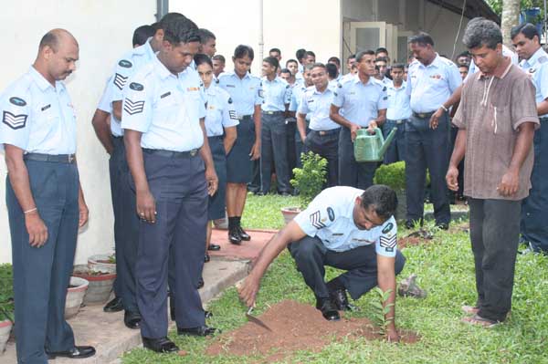 SLAF Plants 100000 Trees
