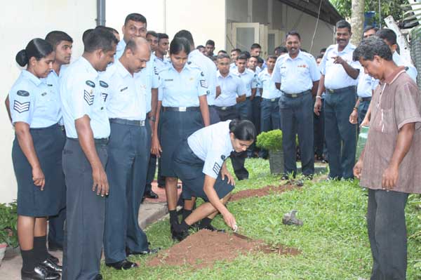 SLAF Plants 100000 Trees