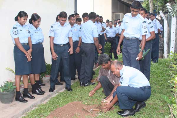 SLAF Plants 100000 Trees