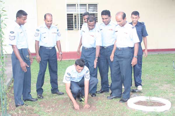 SLAF Plants 100000 Trees