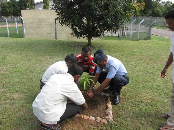 SLAF Plants 100000 Trees