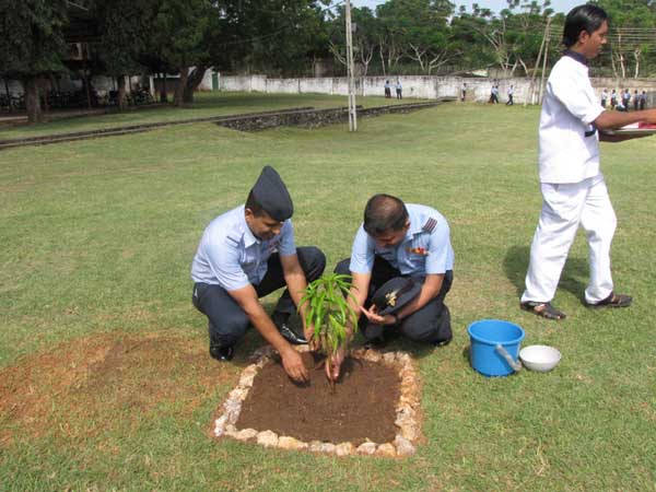 SLAF Plants 100000 Trees