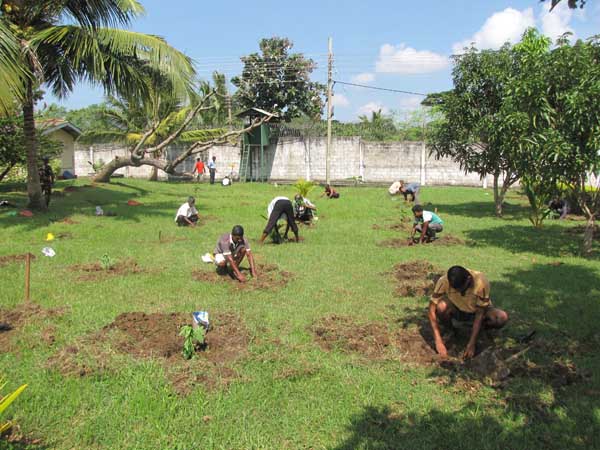 SLAF Plants 100000 Trees