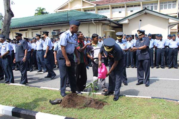 SLAF Plants 100000 Trees