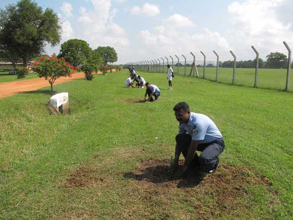 SLAF Plants 100000 Trees