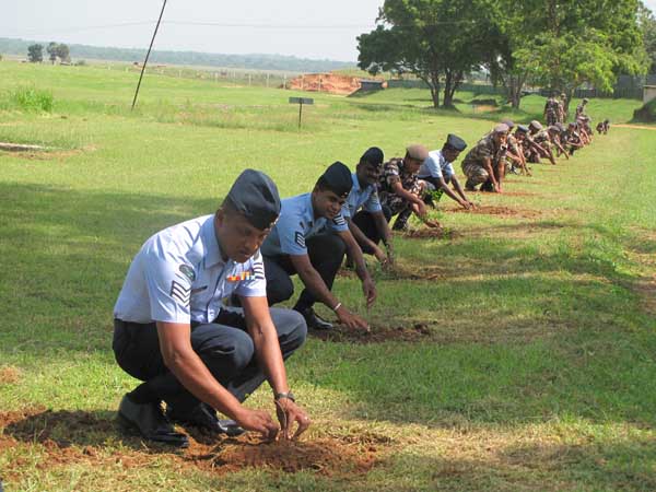 SLAF Plants 100000 Trees