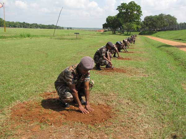 SLAF Plants 100000 Trees