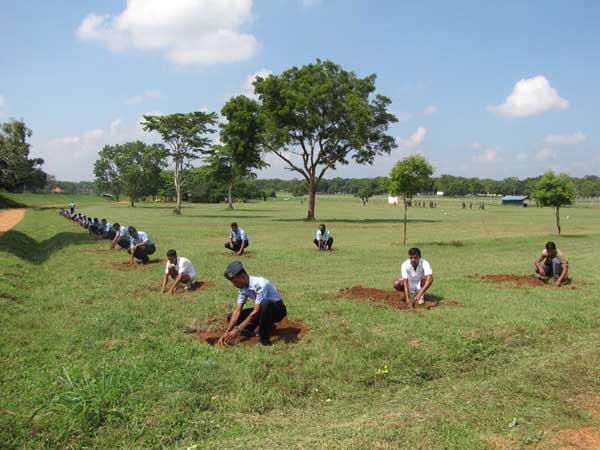 SLAF Plants 100000 Trees